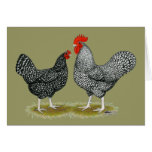 Marans:  Cuckoo Pair cards