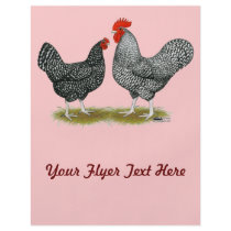Marans:  Cuckoo Pair Flyer Design