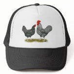 Marans:  Cuckoo Pair hats