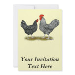 Marans:  Cuckoo Pair Invitations