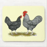 Marans:  Cuckoo Pair mousepads