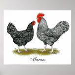 Marans:  Cuckoo Pair posters