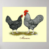 Marans:  Cuckoo Pair Posters
