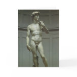 Marble Statue of David by Michelangelo Card
