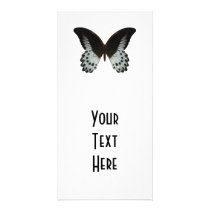 Marble Swallowtail Butterfly Customized Photo Card