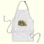 Marbled Cat, Felis marmorata aprons