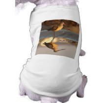 Marbled Godwit Doggie Tee Shirt