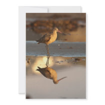 Marbled Godwit Invitations