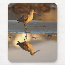 Marbled Godwit Mousepads