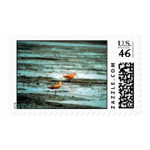Marbled Godwit Postage