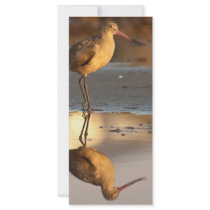 Marbled Godwit Custom Rack Card