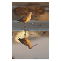 Marbled Godwit Customized Stationery