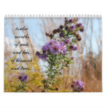 March 2012~February 2013 Flower Calendar
