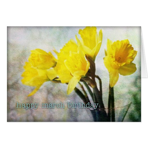 March Birthday Flower Daffodil 1 Cards Zazzle