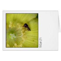 March cards by ickledink March cards