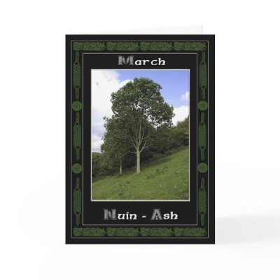 March Celtic Druid Birthday Tree Symbols Cards by moonlake