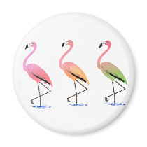 March of the Tropical Flamingos Magnets