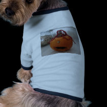 Marcos Pumpkin pet clothing