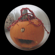 Marcos Pumpkin magnets