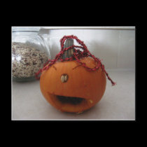 Marcos Pumpkin postcards