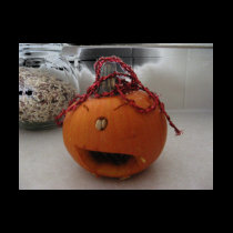 Marcos Pumpkin t-shirts