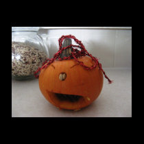 Marcos Pumpkin t-shirts