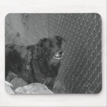 Marcus by the Fence mousepads