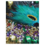 Mardi Gras Beads & Green Feather Mask