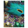 Mardi Gras Beads & Green Feather Mask