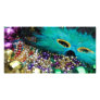 Mardi Gras Beads & Green Feather Mask Photo Card Template