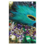 Mardi Gras Beads & Green Feather Mask