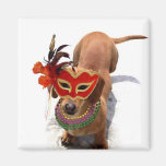 Mardi Gras Dachshund Dog magnet