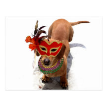 Mardi Gras Dachshund Dog postcard
