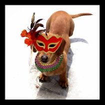 Mardi Gras Dachshund poster posters