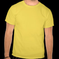 Mardi Gras Jester
