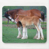 mare and colt 2 mousepad