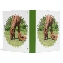 Mare and Colt Horse Binder