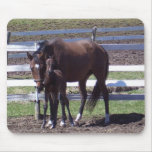 Mare and colt mouse mat