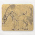 Mare and Colt mousepads
