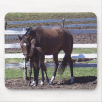 Mare and colt mousepads