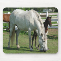 MARE AND COLT MOUSEPAD
