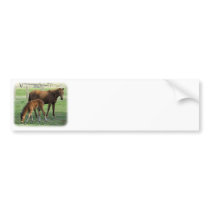 Mare and Foal 9P30D-175 bumper stickers