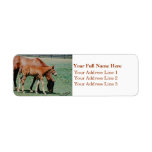 Mare and Foal Address Label