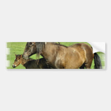 Mare and Foal Bumper Sticker