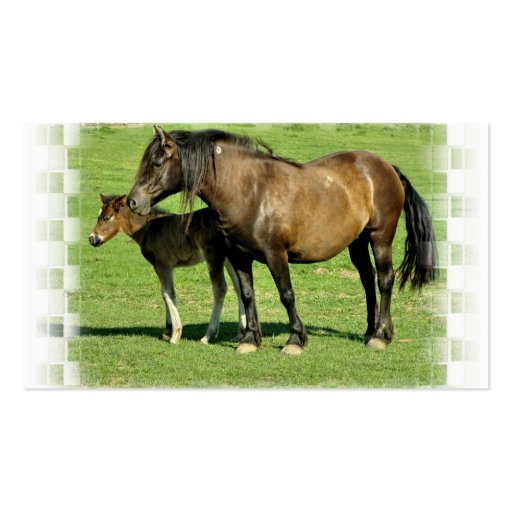 Mare and Foal Business Card (back side)