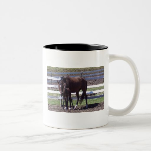 Mare and foal coffee mug