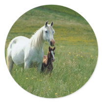 Mare and Foal in Tall Grass stickers