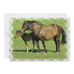 Mare and Foal Invitation