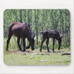 Mare and foal perfectly in sync mouse pads