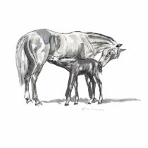 Mare and Foal Photo Cut Outs
